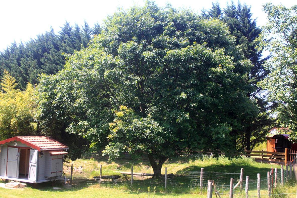 Tente Trappeur Ada, Au Jardin De La Vouivre Saint-Vincent-en-Bresse ภายนอก รูปภาพ