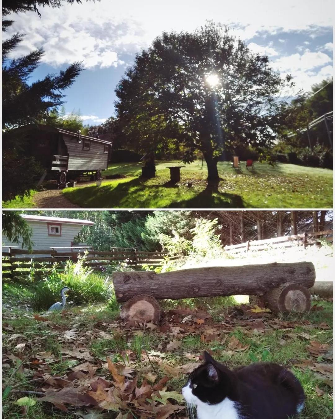 Tente Trappeur Ada, Au Jardin De La Vouivre Saint-Vincent-en-Bresse ภายนอก รูปภาพ