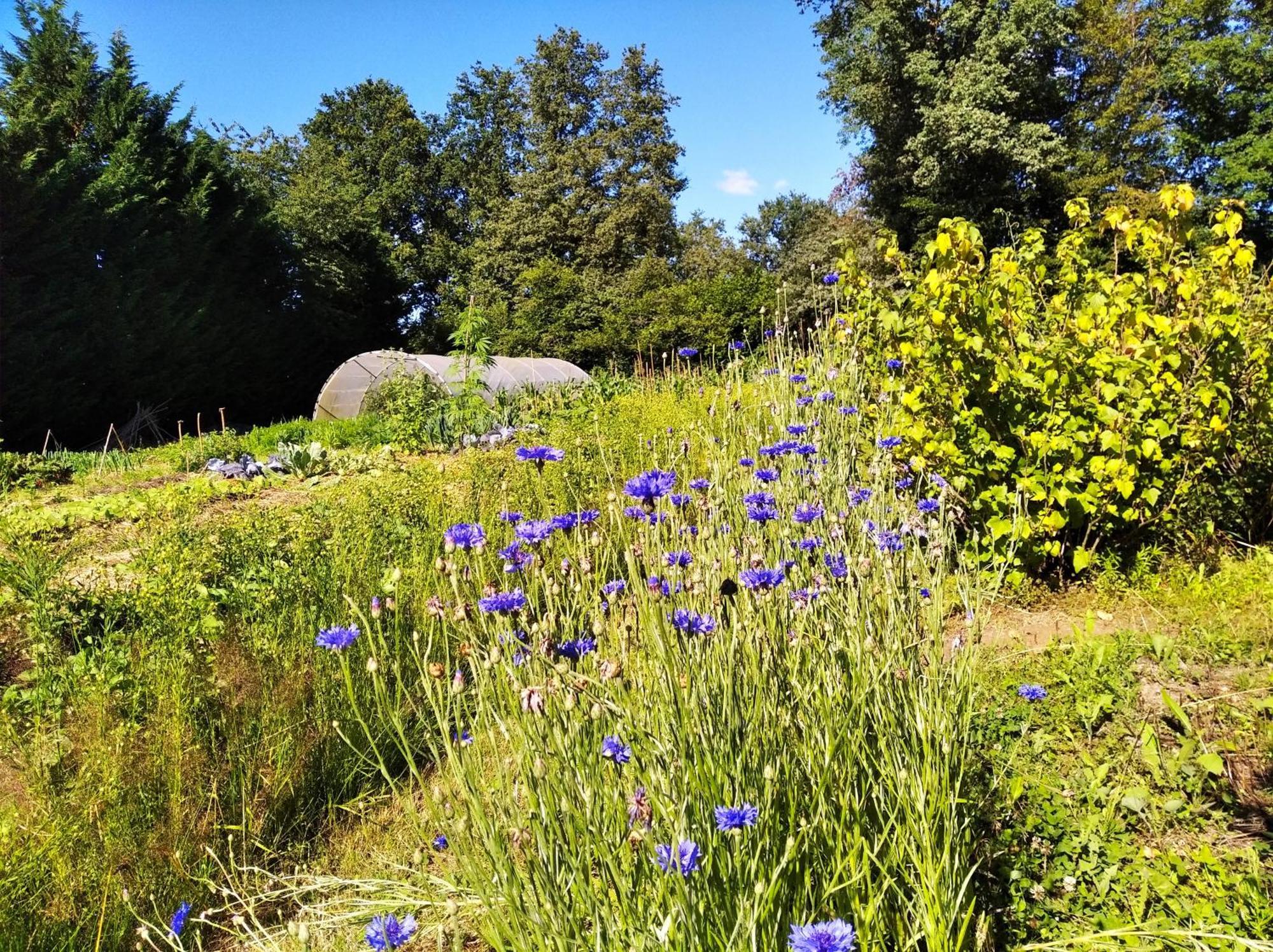 Tente Trappeur Ada, Au Jardin De La Vouivre Saint-Vincent-en-Bresse ภายนอก รูปภาพ