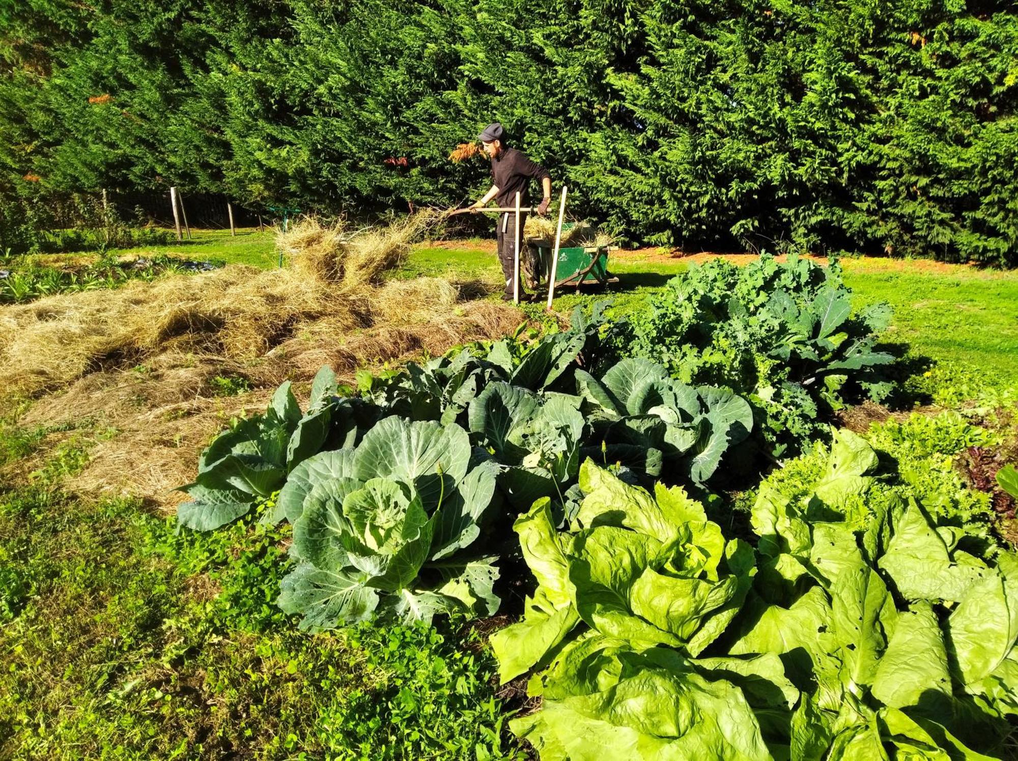 Tente Trappeur Ada, Au Jardin De La Vouivre Saint-Vincent-en-Bresse ภายนอก รูปภาพ