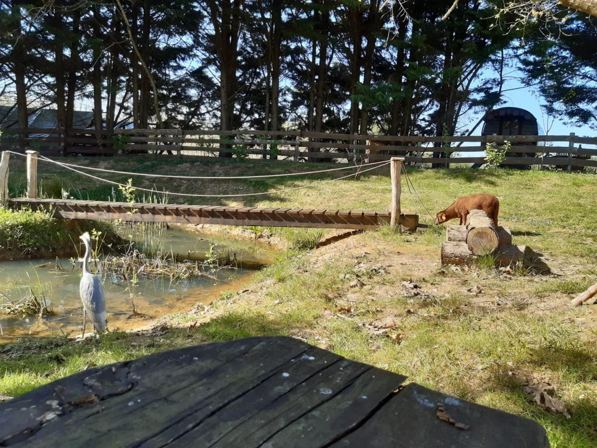 Tente Trappeur Ada, Au Jardin De La Vouivre Saint-Vincent-en-Bresse ภายนอก รูปภาพ