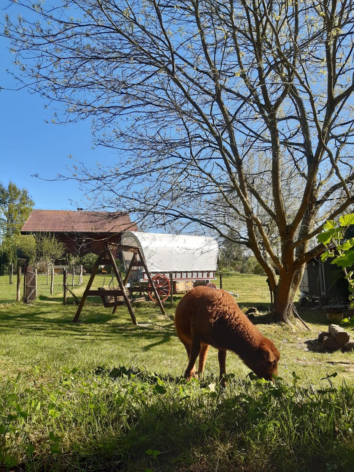 Tente Trappeur Ada, Au Jardin De La Vouivre Saint-Vincent-en-Bresse ภายนอก รูปภาพ